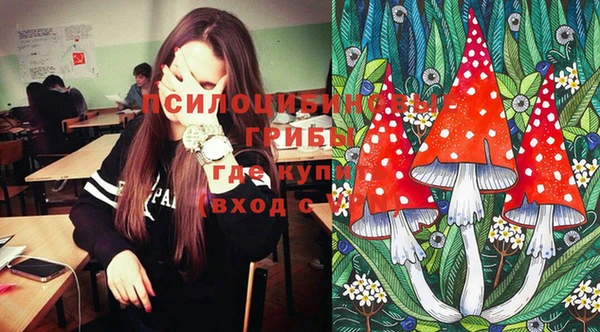 шишки Балабаново