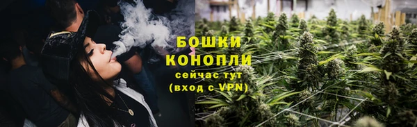 дмт Пестово