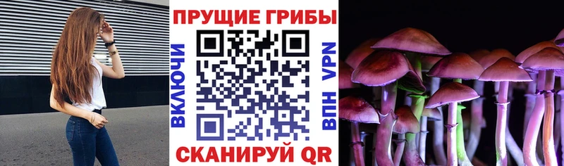 наркошоп  Новоаннинский  Галлюциногенные грибы мухоморы 